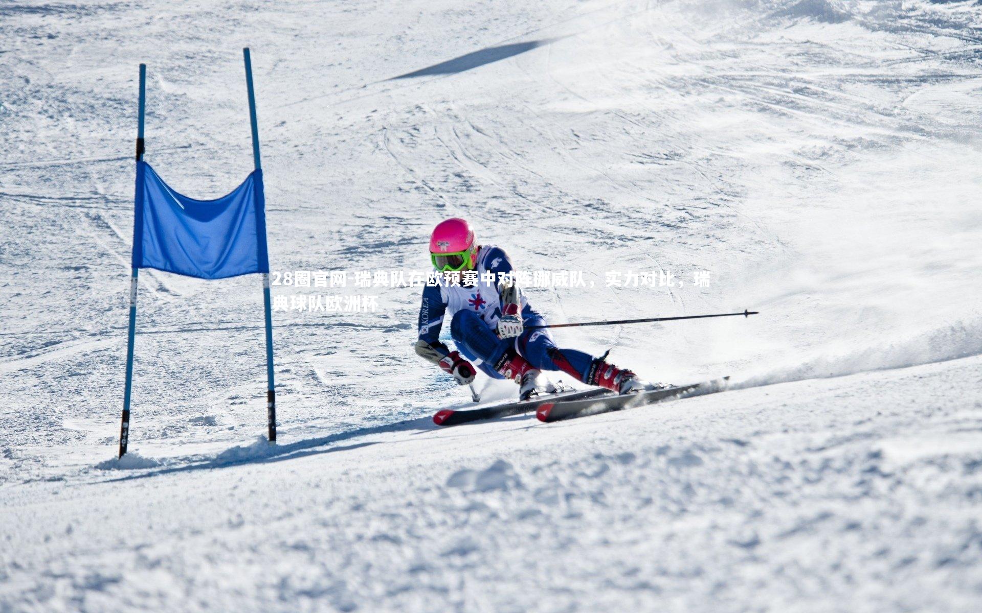 瑞典队在欧预赛中对阵挪威队，实力对比，瑞典球队欧洲杯