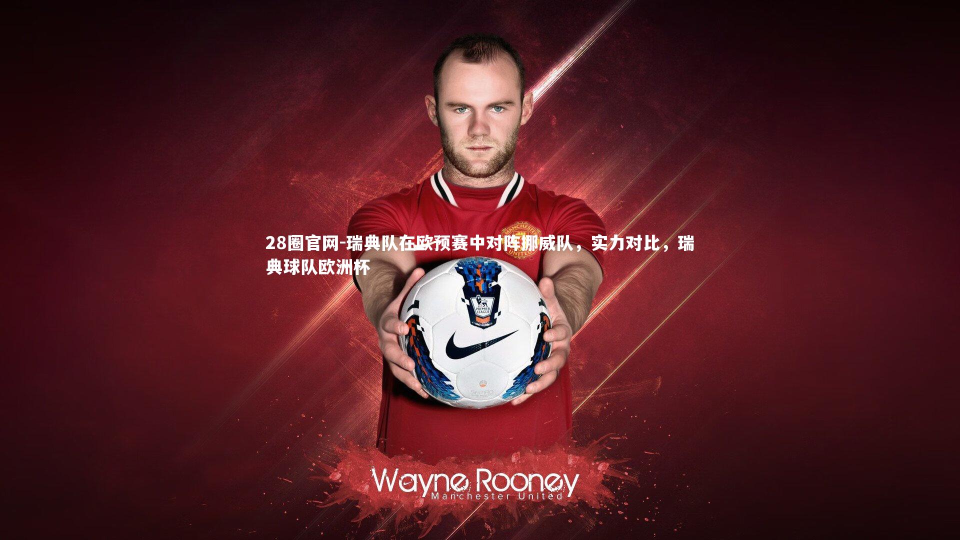 瑞典队在欧预赛中对阵挪威队，实力对比，瑞典球队欧洲杯