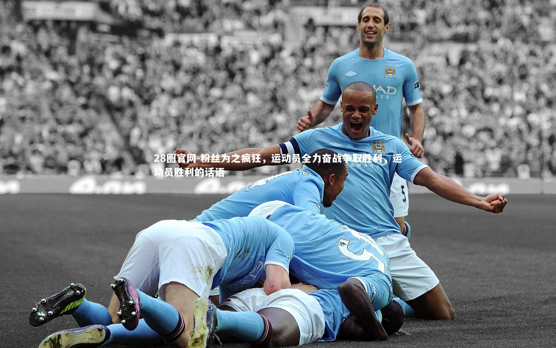 粉丝为之疯狂，运动员全力奋战争取胜利，运动员胜利的话语