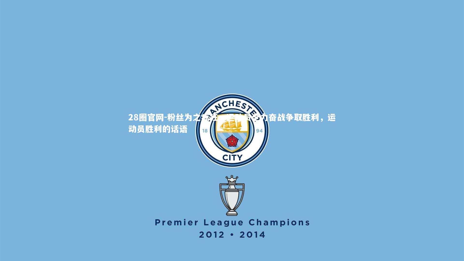 粉丝为之疯狂，运动员全力奋战争取胜利，运动员胜利的话语