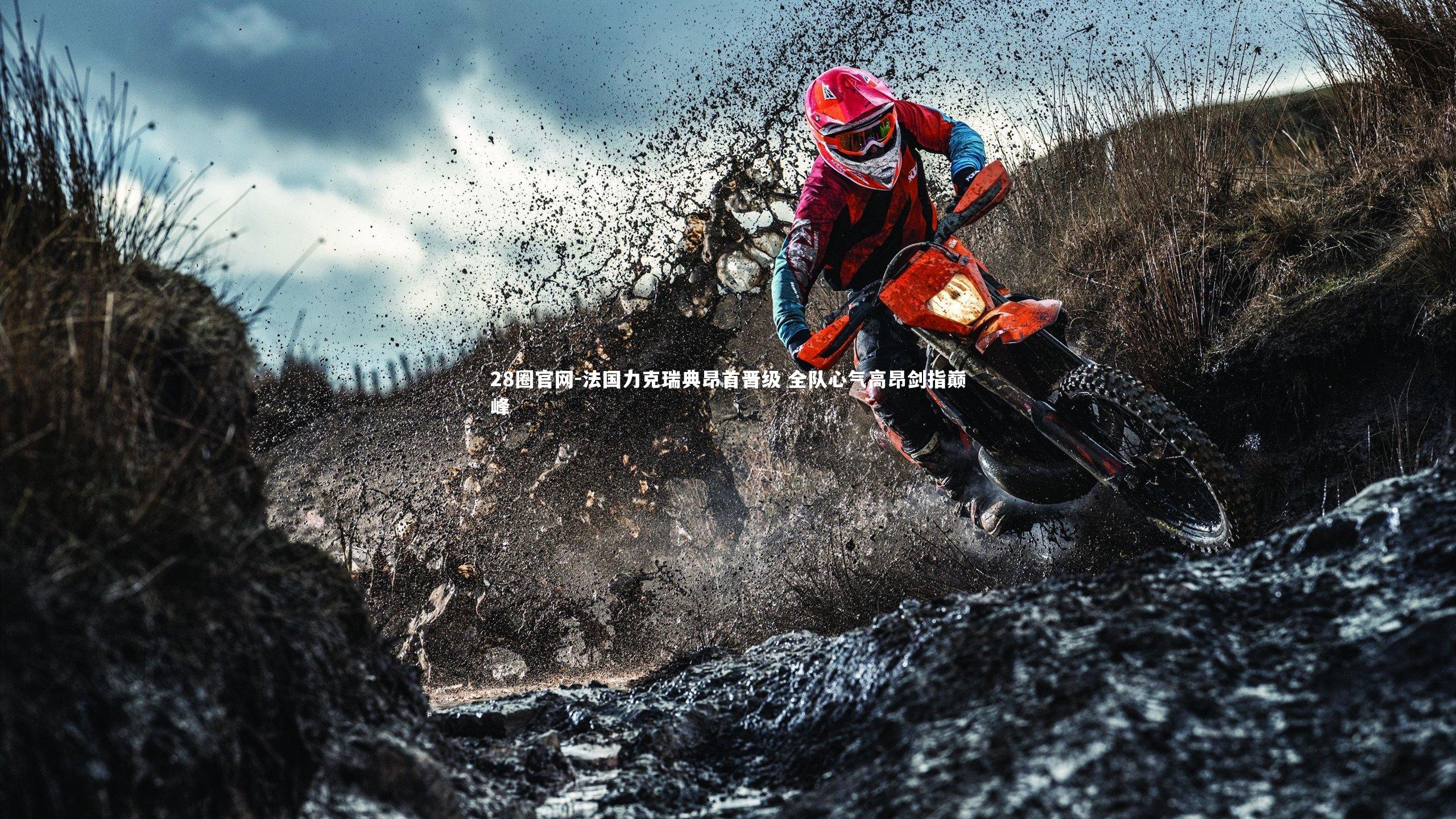 法国力克瑞典昂首晋级 全队心气高昂剑指巅峰